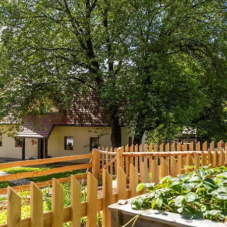 Tourist Farm Rajsp