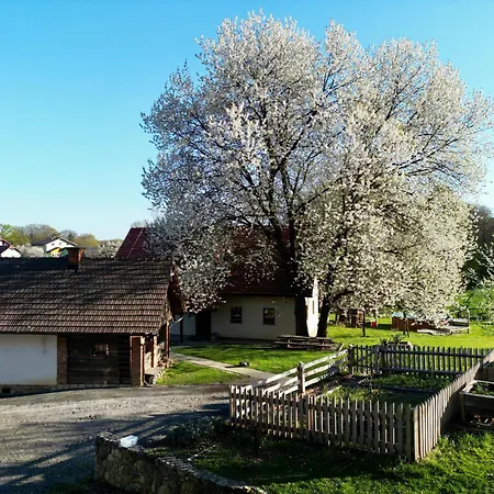 Tourist Farm Rajsp Bauernhof Benedikt v Slovenskih Goricah